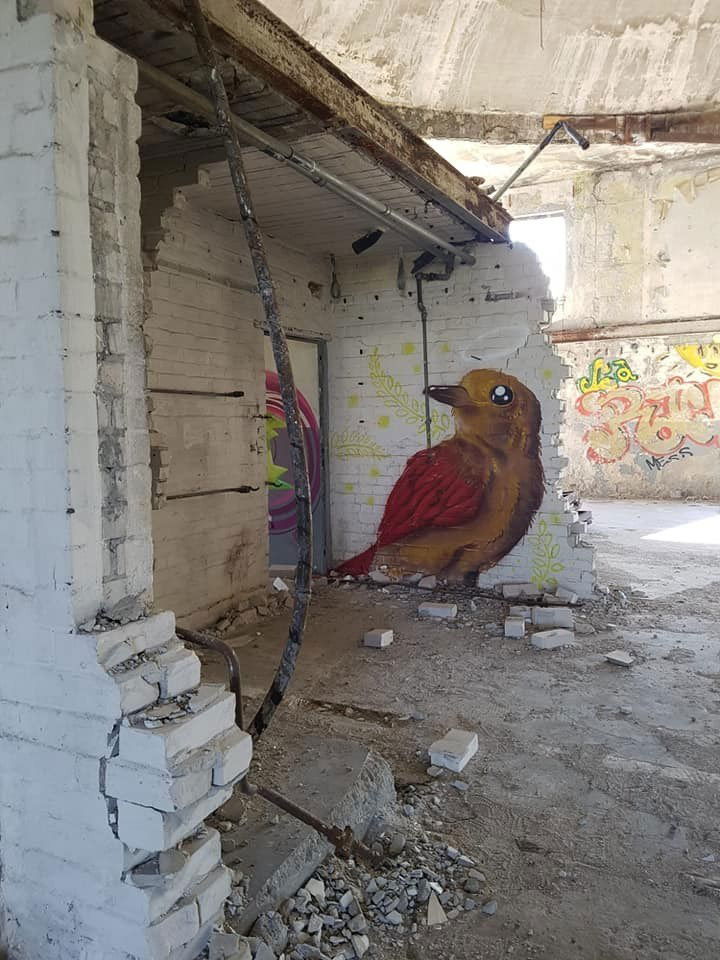 Graffiti Wall - Photo by YumeS - yume, lostplace, karlshorst (2018)