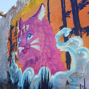 Graffiti Wall - Photo by YumeS - yume, colorfull, nbq (2018)