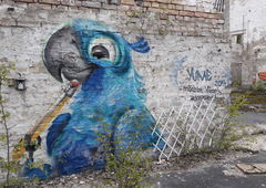 Photo #232902 by movil