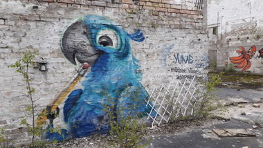 Graffiti Wall in Deutschland - Photo by YumeS - yume, lostplace, eberswalde (2017)