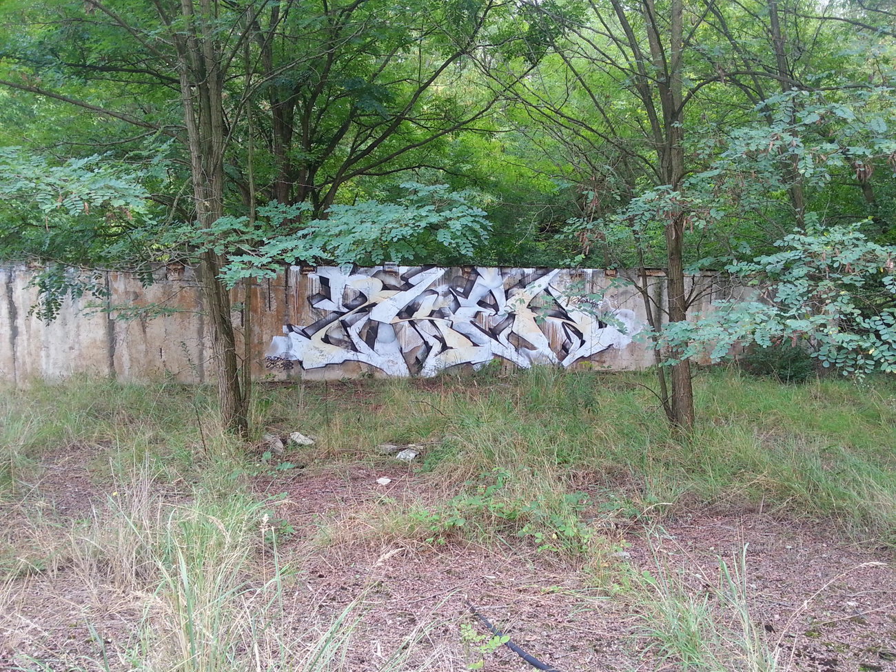 Graffiti Wall - Photo by YumeS - skenar