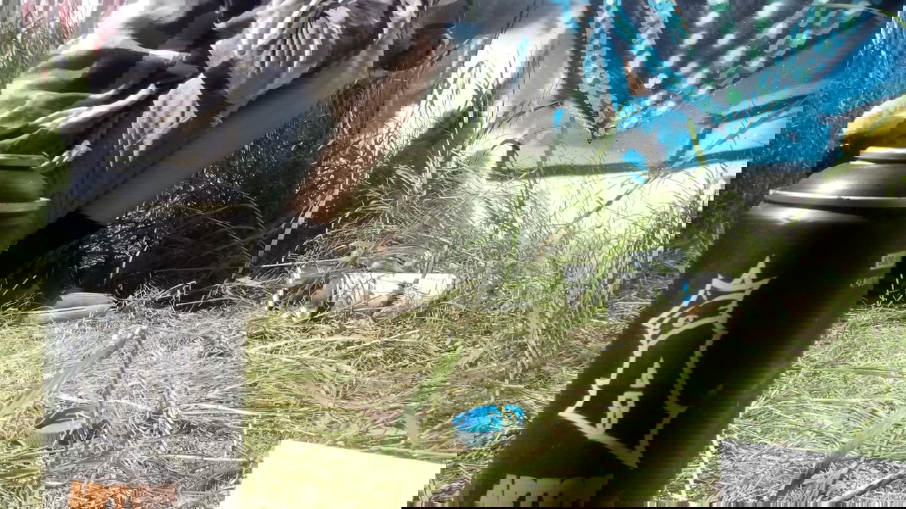 Graffiti Artwork - Photo by ZABS55 - zabs