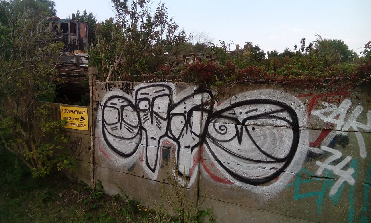 Graffiti Wall - Photo by ZAKUR