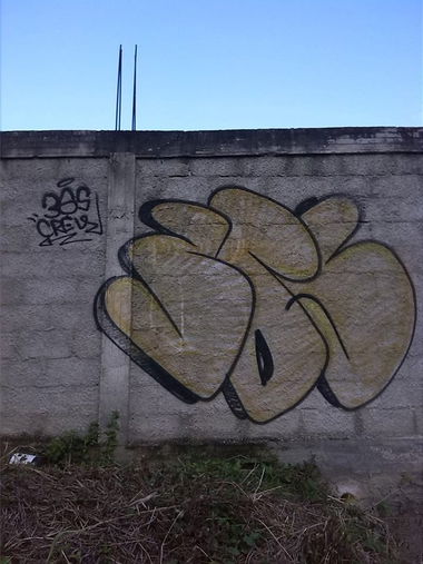 Graffiti Bombing - Photo by ZEINADICO