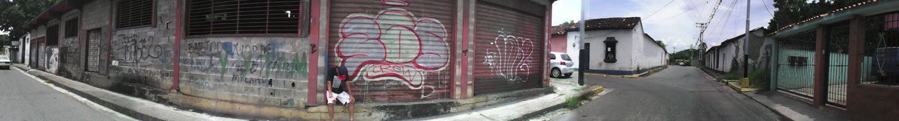 Graffiti Bombing - Photo by ZEINADICO