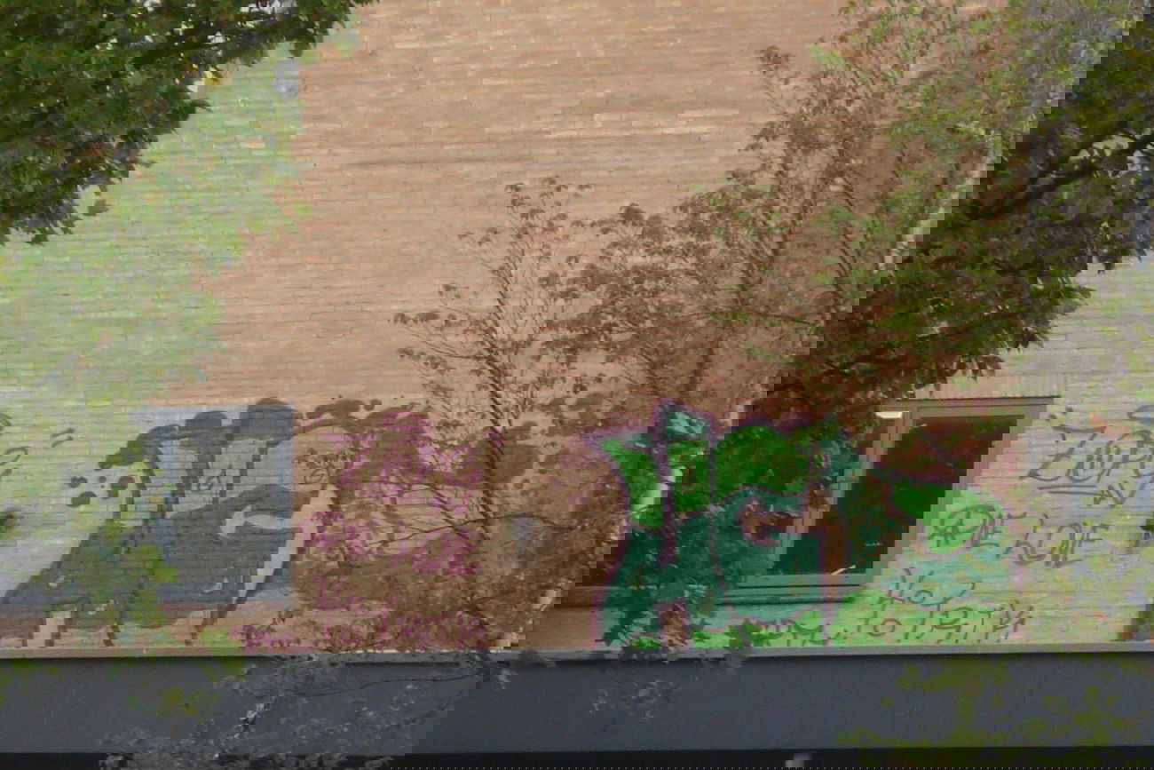 Graffiti Bombing - Photo by ZOPS