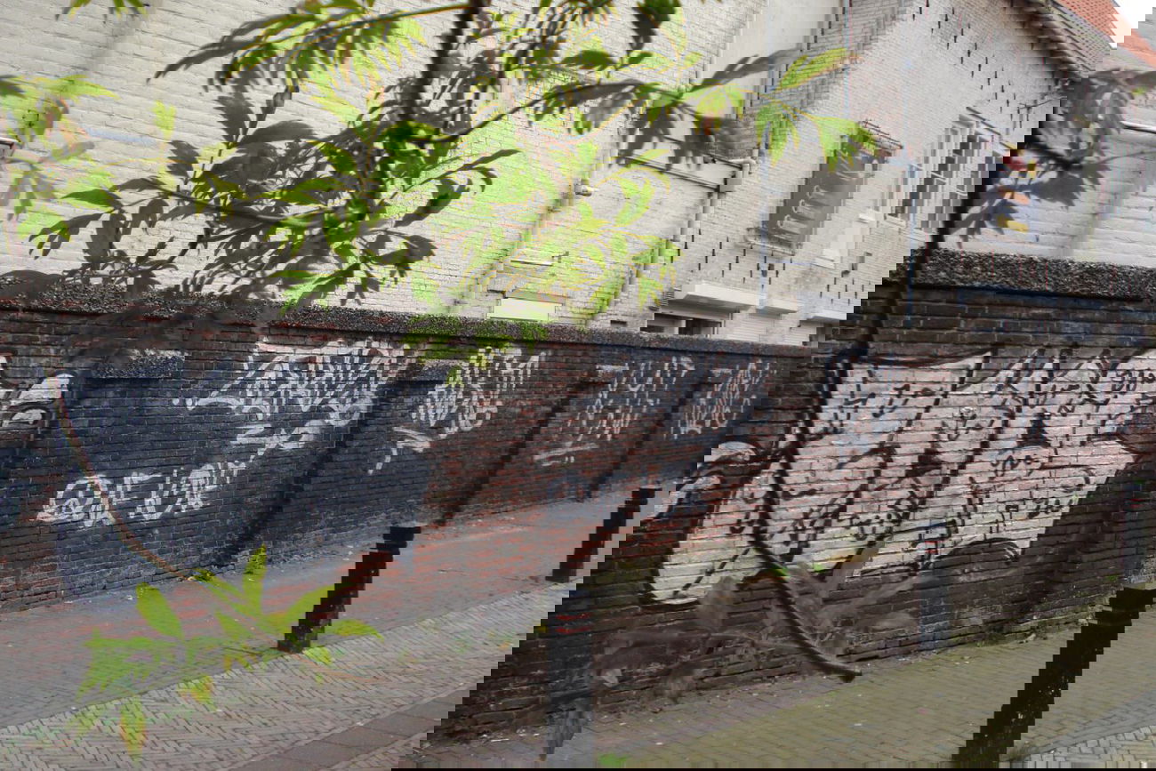 Graffiti Bombing in Leeuwarden - Photo by ZOPS - ZOPS (2014)