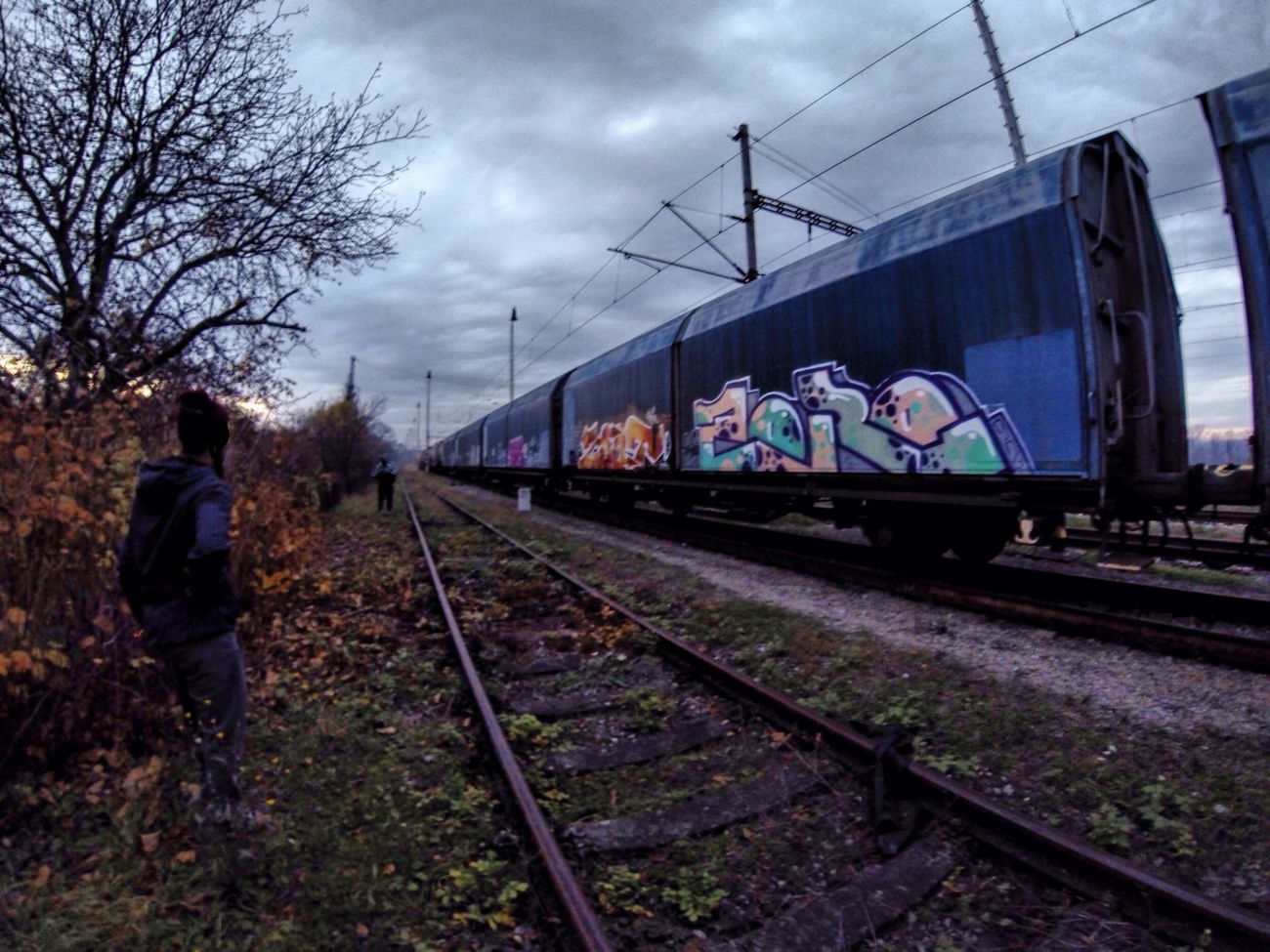 Graffiti Train - Photo by ZORO92 - freight, OUS, SYT (2016)