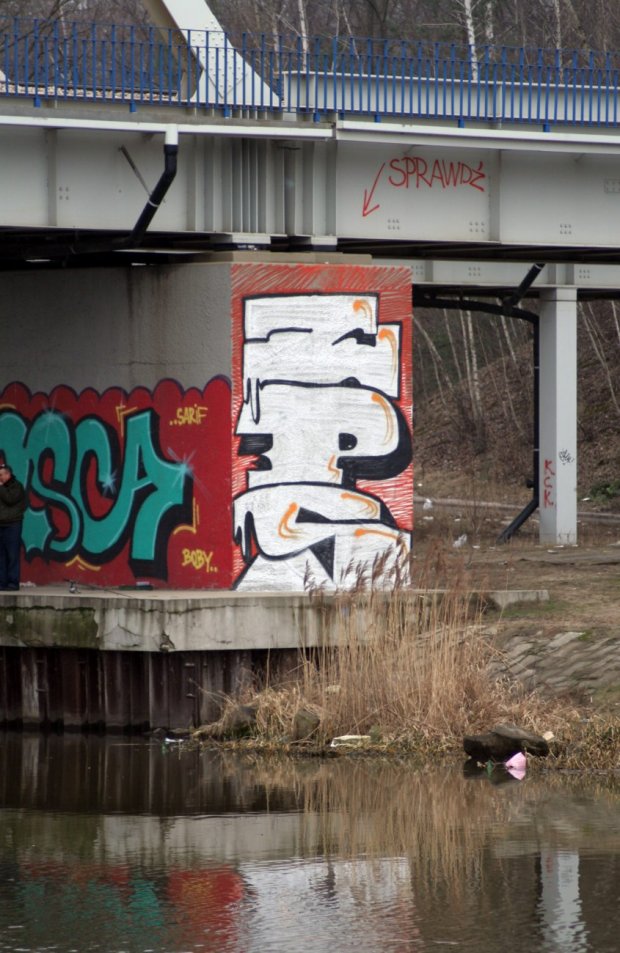 Graffiti Bombing - Photo by ZPScrew - zps (2015)