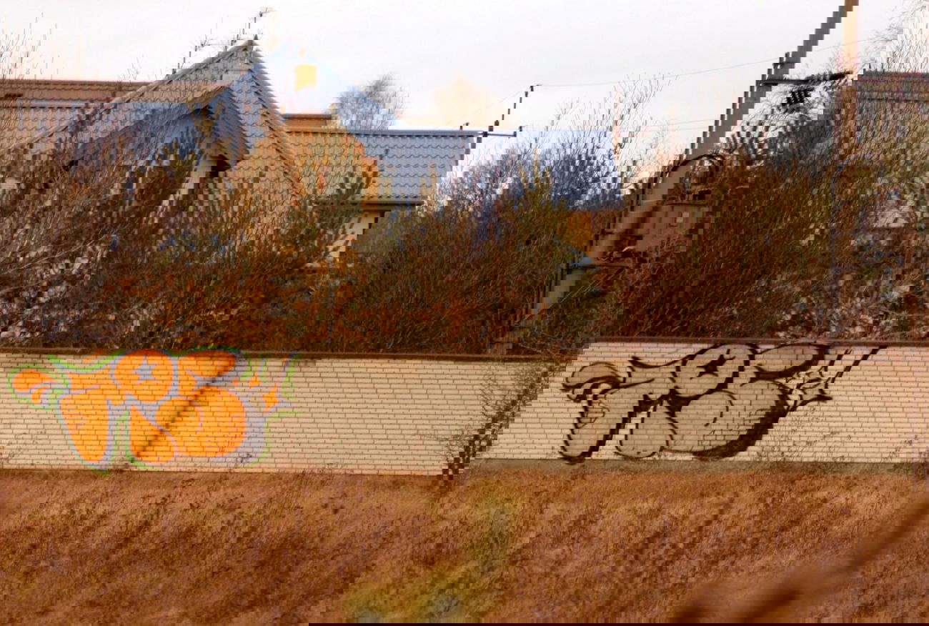 Graffiti Bombing - Photo by ZPScrew - ZPS (2014)