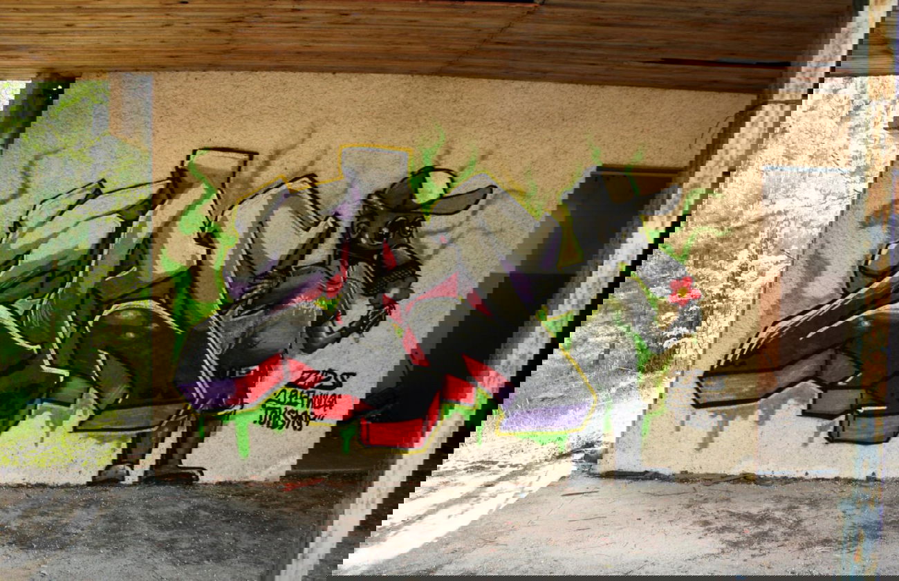 Graffiti Wall - Photo by ZPScrew - ZPS, Skucha (2015)