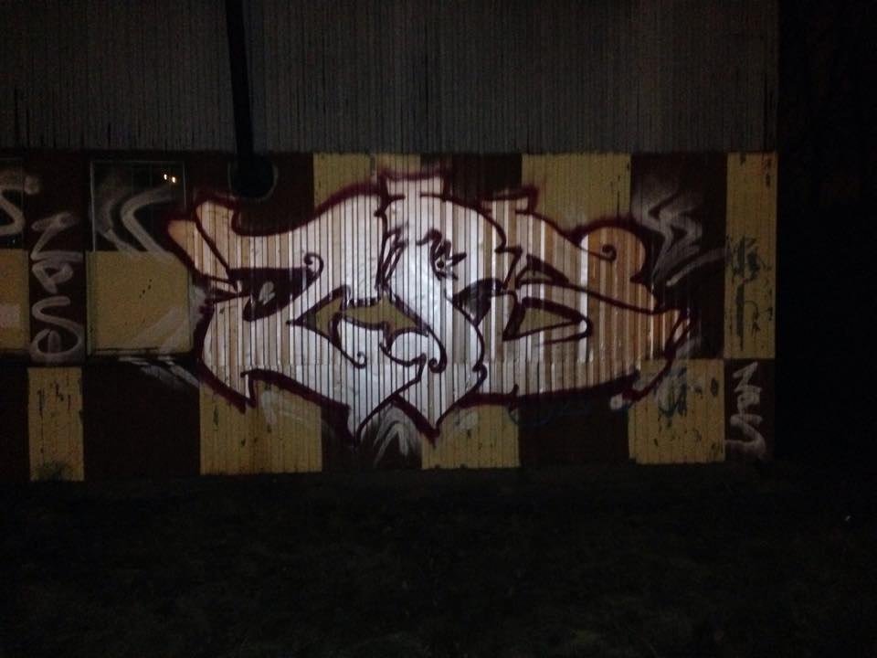 Graffiti Bombing - Photo by ZPScrew