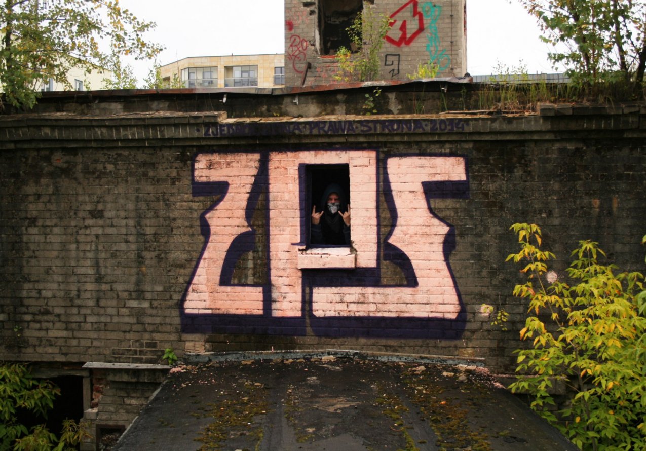 Graffiti Bombing - Photo by ZPScrew - ZPS, window (2014)