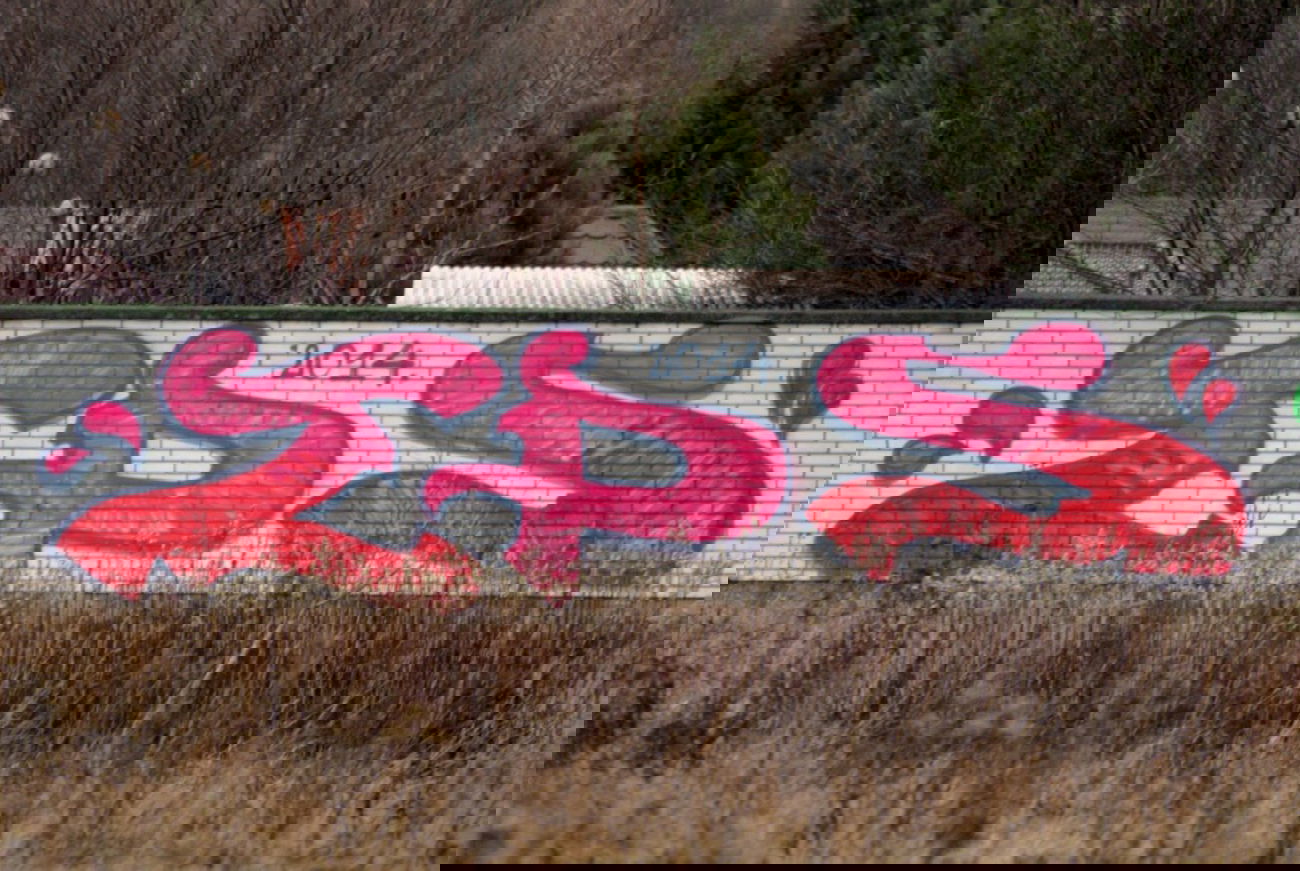 Graffiti Bombing - Photo by ZPScrew - ZPS (2014)