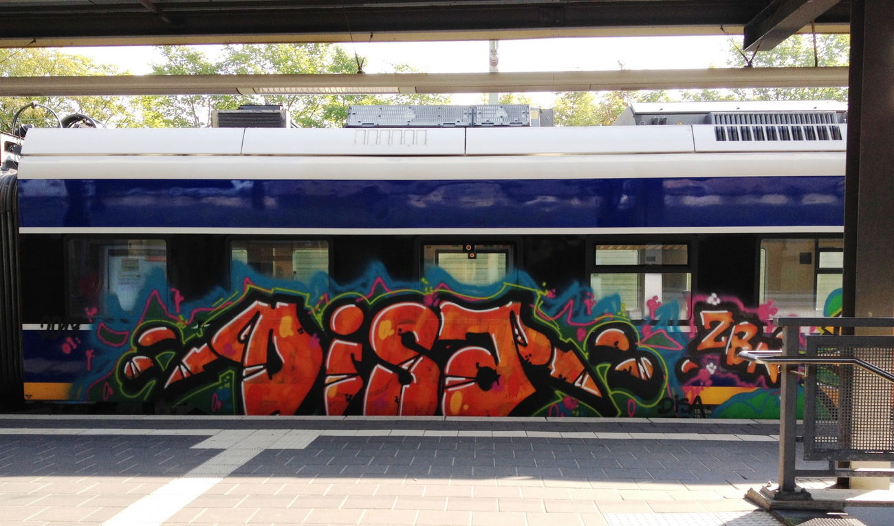 Graffiti Train - Photo by ZUGZWANG (2017)