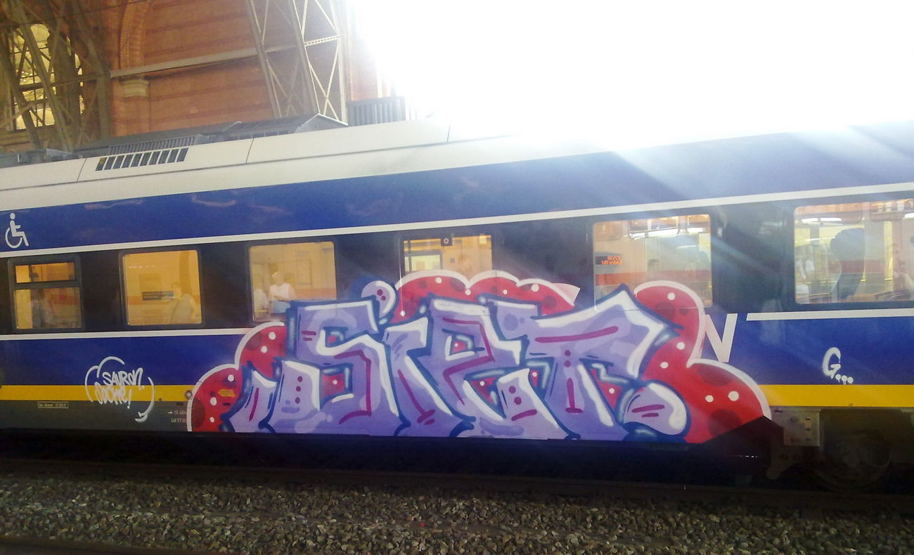 Graffiti Train - Photo by ZUGZWANG - siet (2016)