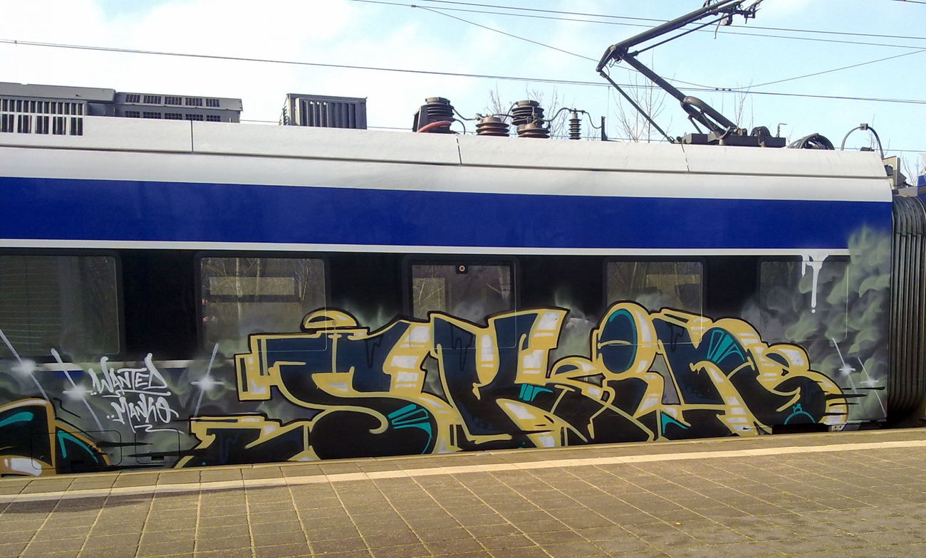 Graffiti Train - Photo by ZUGZWANG - skin (2017)