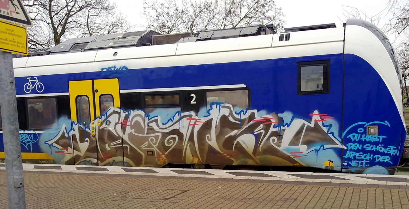 Graffiti Train - Photo by ZUGZWANG (2017)