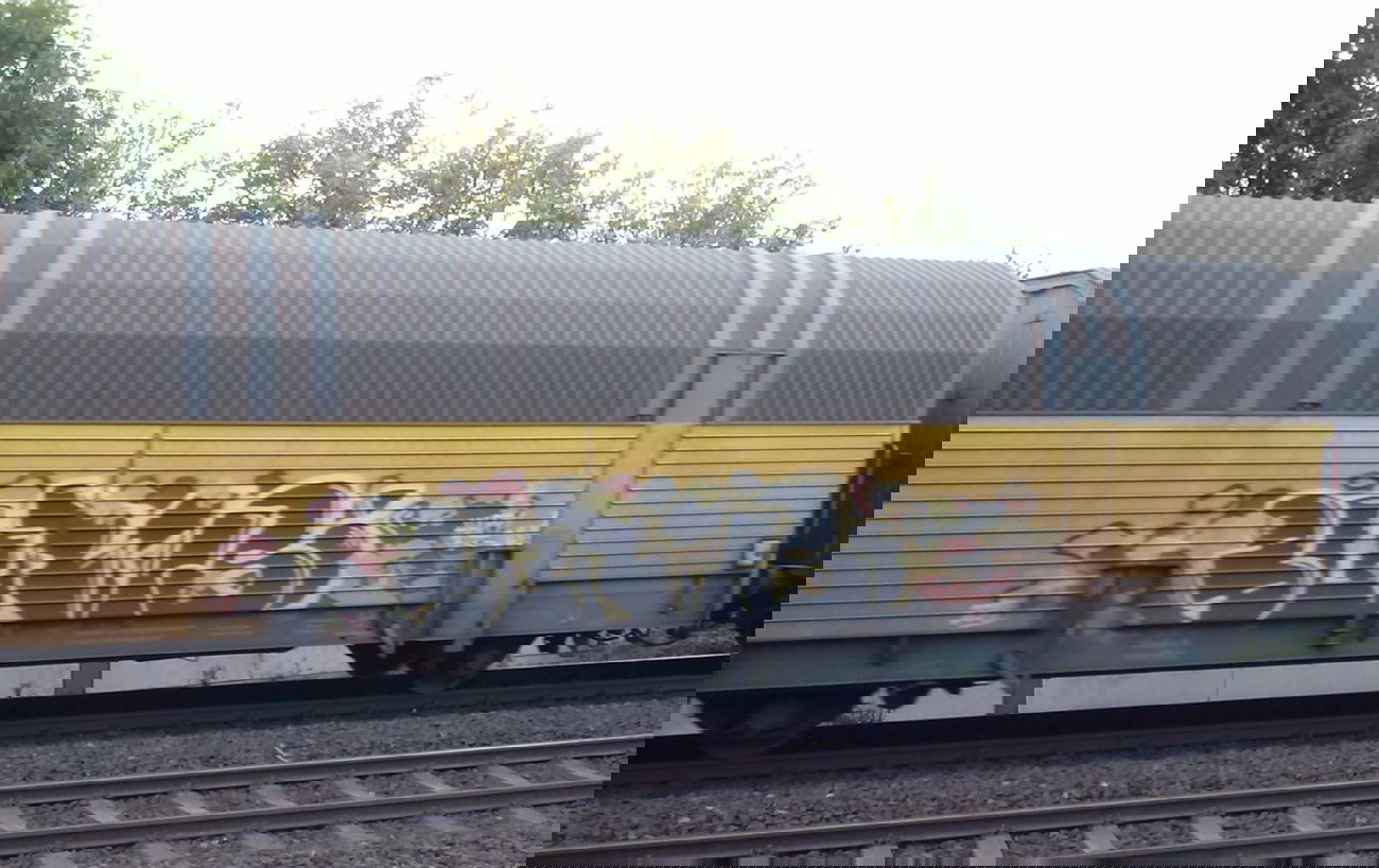 Graffiti Train - Photo by ZUGZWANG - bremerhaven, 27 (2013)