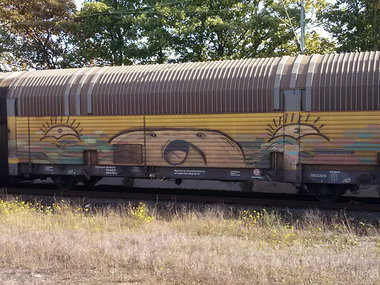 Graffiti Train - Photo by ZUGZWANG - bremerhaven (2014)