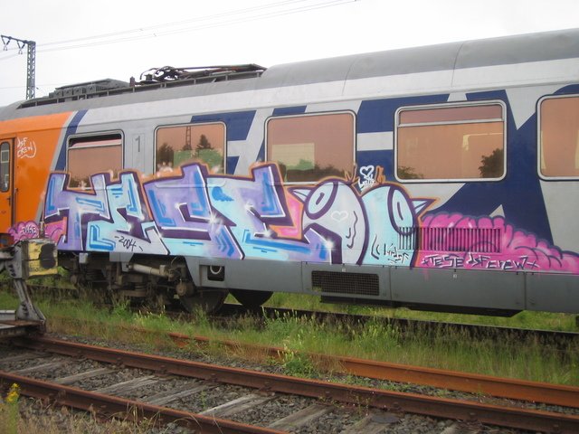 Graffiti Train - Photo by ZUGZWANG - tese, dsf (2005)