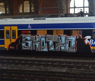 Graffiti Train - Photo by ZUGZWANG - shotwo, bremerhaven, bremen (2014)
