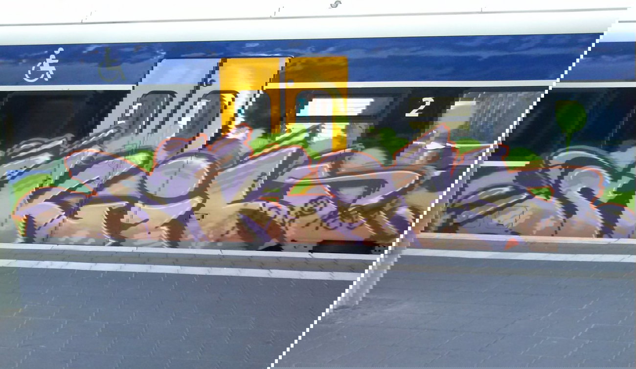 Graffiti Train - Photo by ZUGZWANG - skin, bremerhaven, bremen (2014)