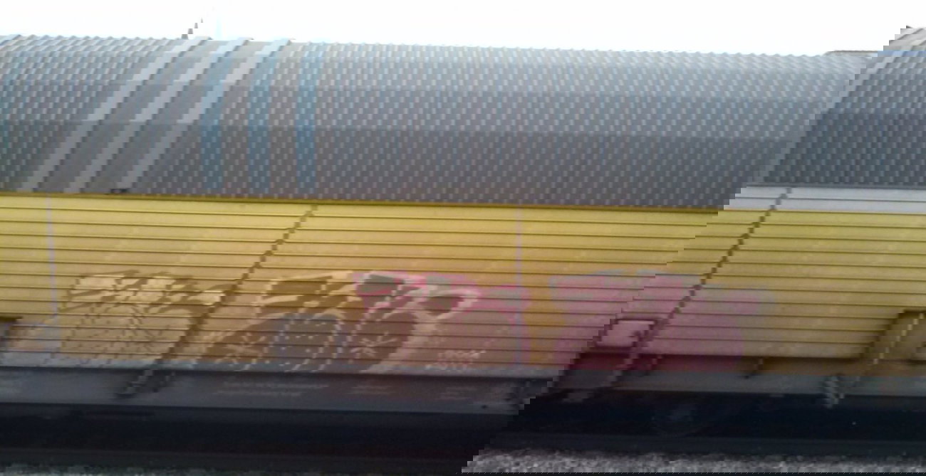Graffiti Train - Photo by ZUGZWANG - bremerhaven, bremen, oldenburg (2011)