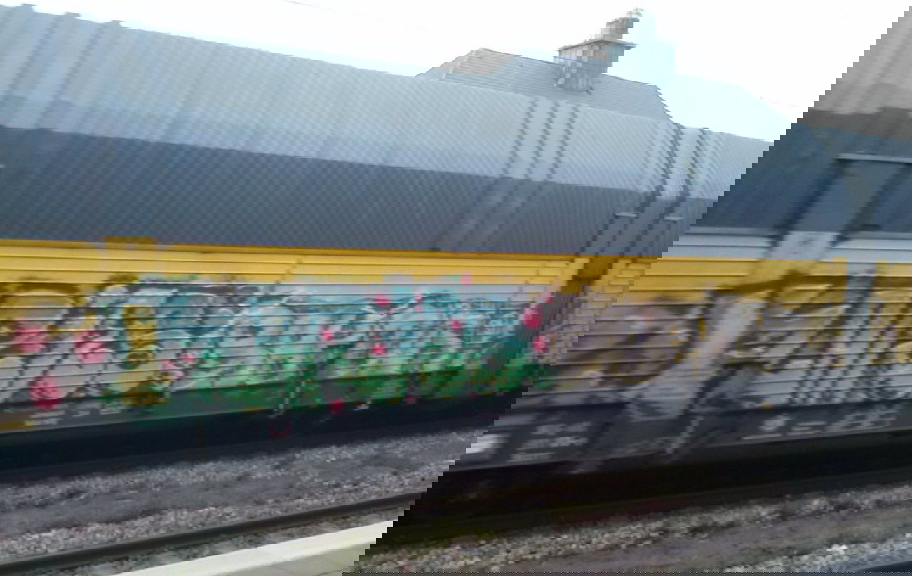 Graffiti Train - Photo by ZUGZWANG - karies, bremerhaven, bremen