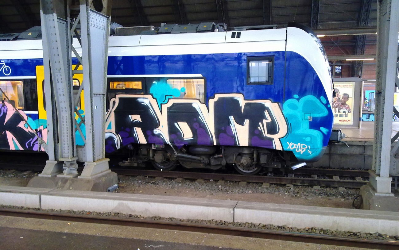 Graffiti Train - Photo by ZUGZWANG - rdm (2016)