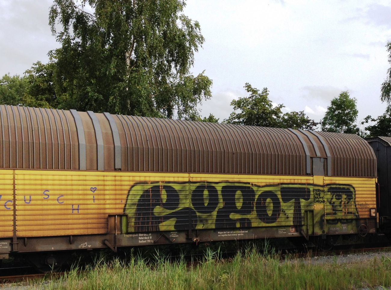 Graffiti Train - Photo by ZUGZWANG - rogot