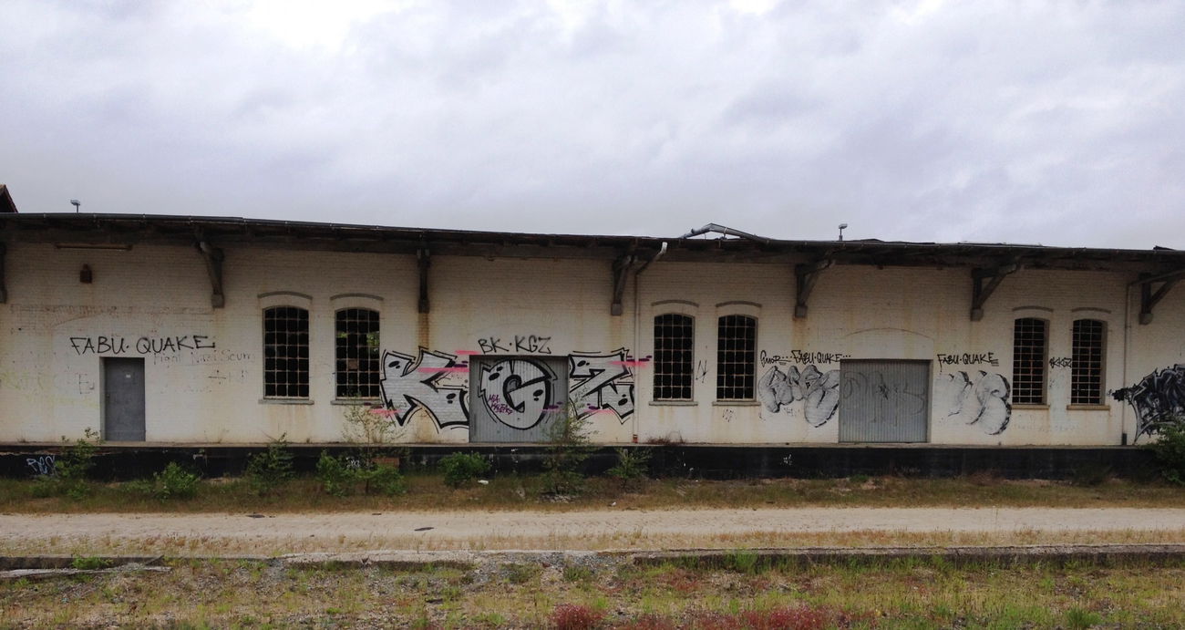 Graffiti Bombing - Photo by ZUGZWANG - kgz