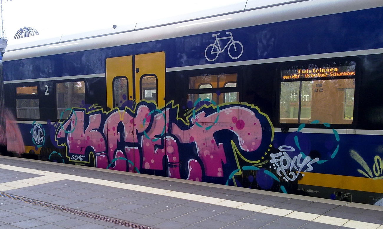 Graffiti Train - Photo by ZUGZWANG (2016)
