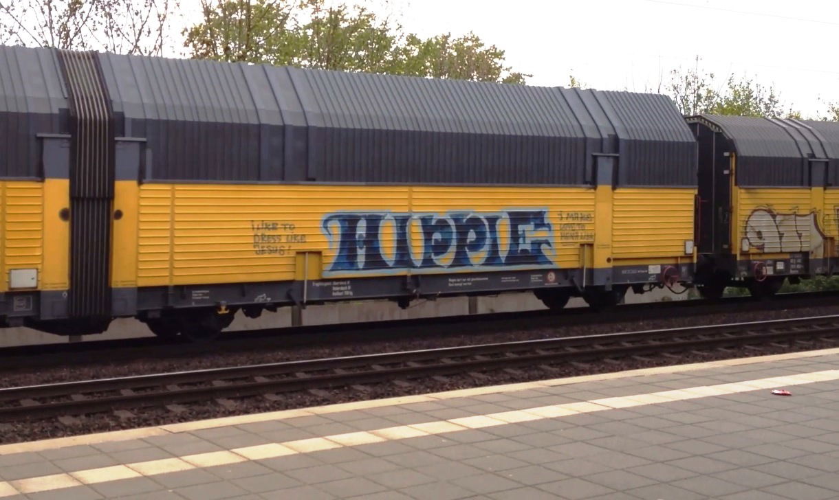 Graffiti Train - Photo by ZUGZWANG - hippie