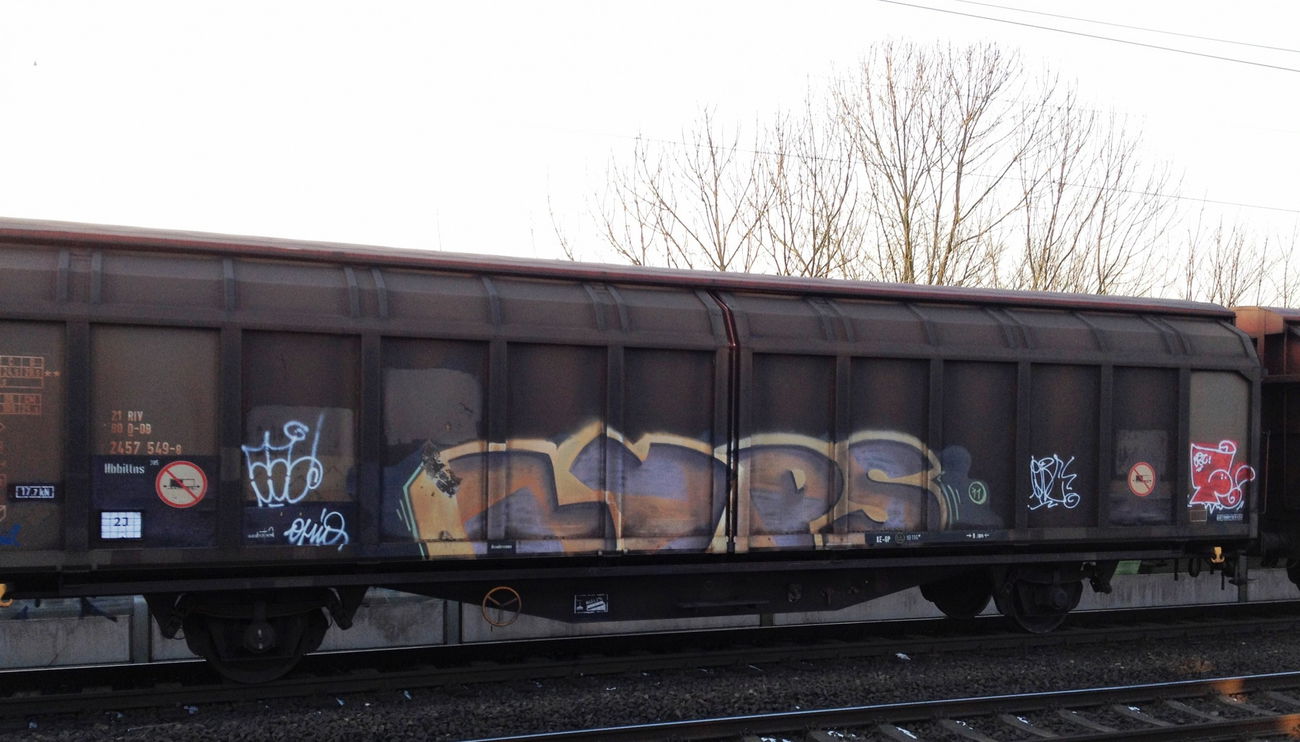 Graffiti Train - Photo by ZUGZWANG - lyps
