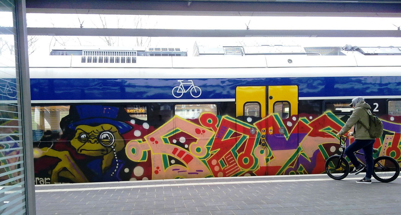Graffiti Train - Photo by ZUGZWANG (2017)