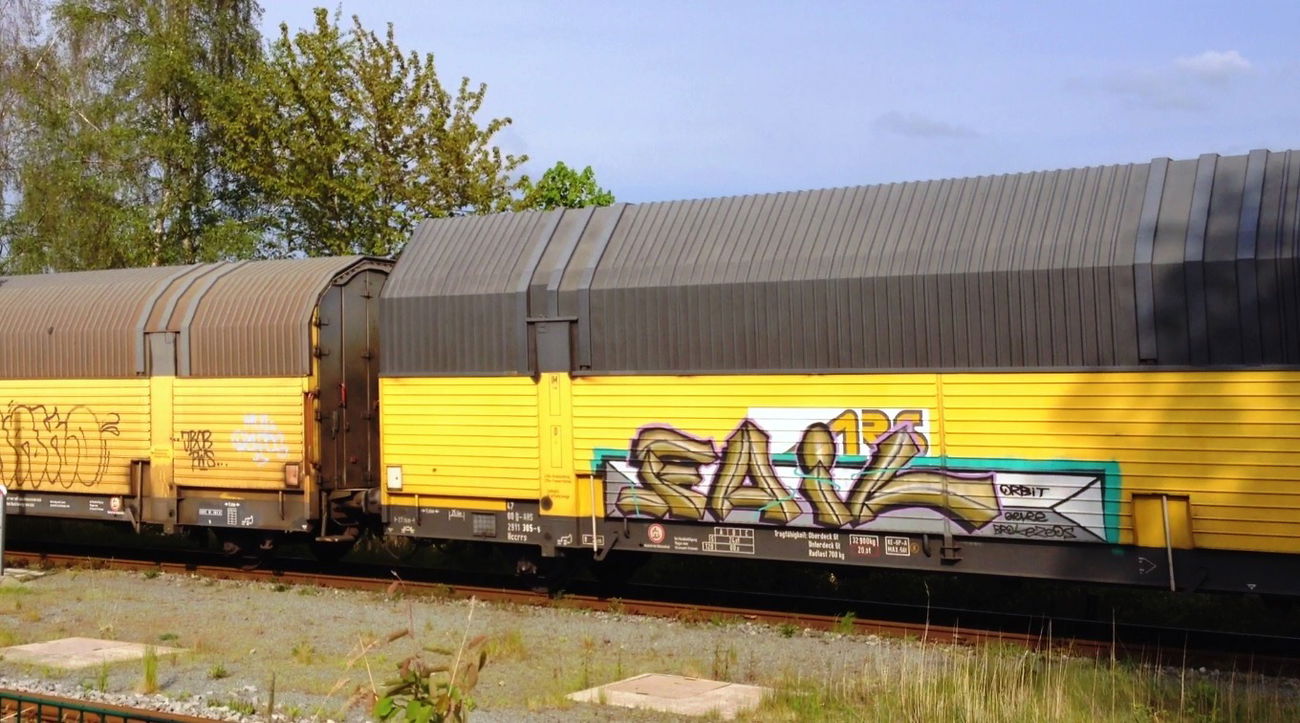 Graffiti Train - Photo by ZUGZWANG - fail