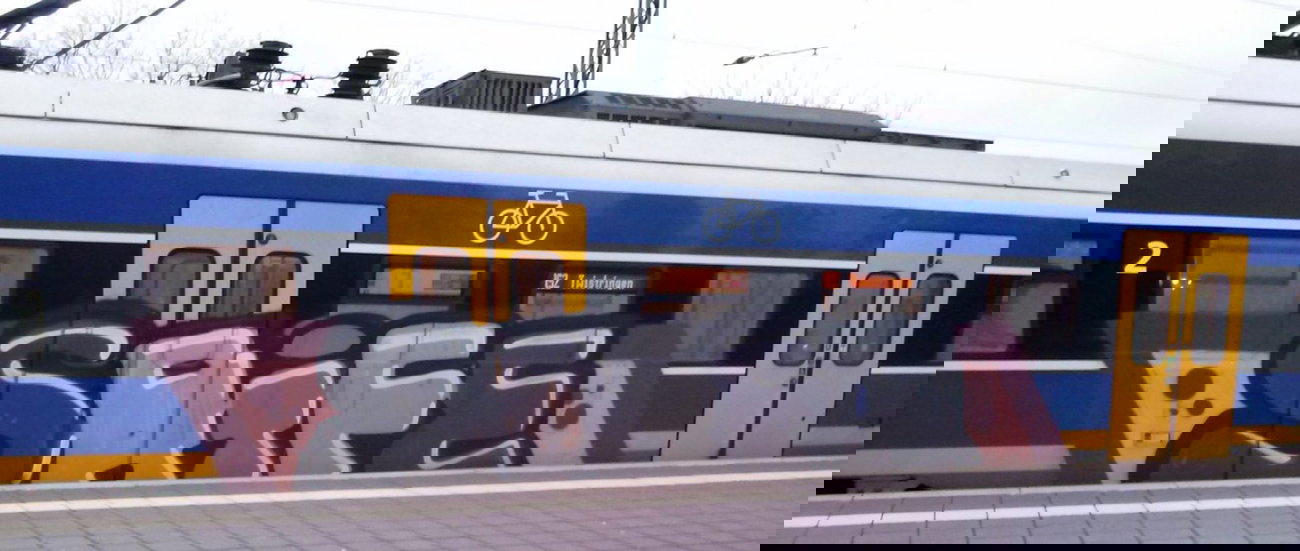 Graffiti Train - Photo by ZUGZWANG - saife, bremerhaven, 27 (2014)