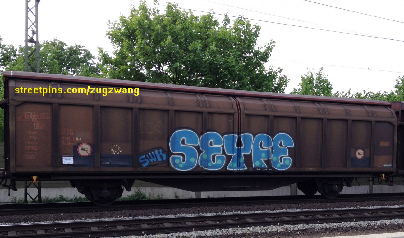 Graffiti Train - Photo by ZUGZWANG - seyfe, swk