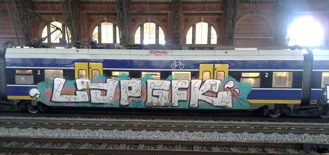 Graffiti Train - Photo by ZUGZWANG (2017)