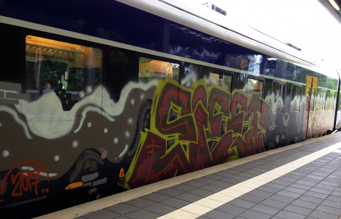 Graffiti Train - Photo by ZUGZWANG - siet (2017)