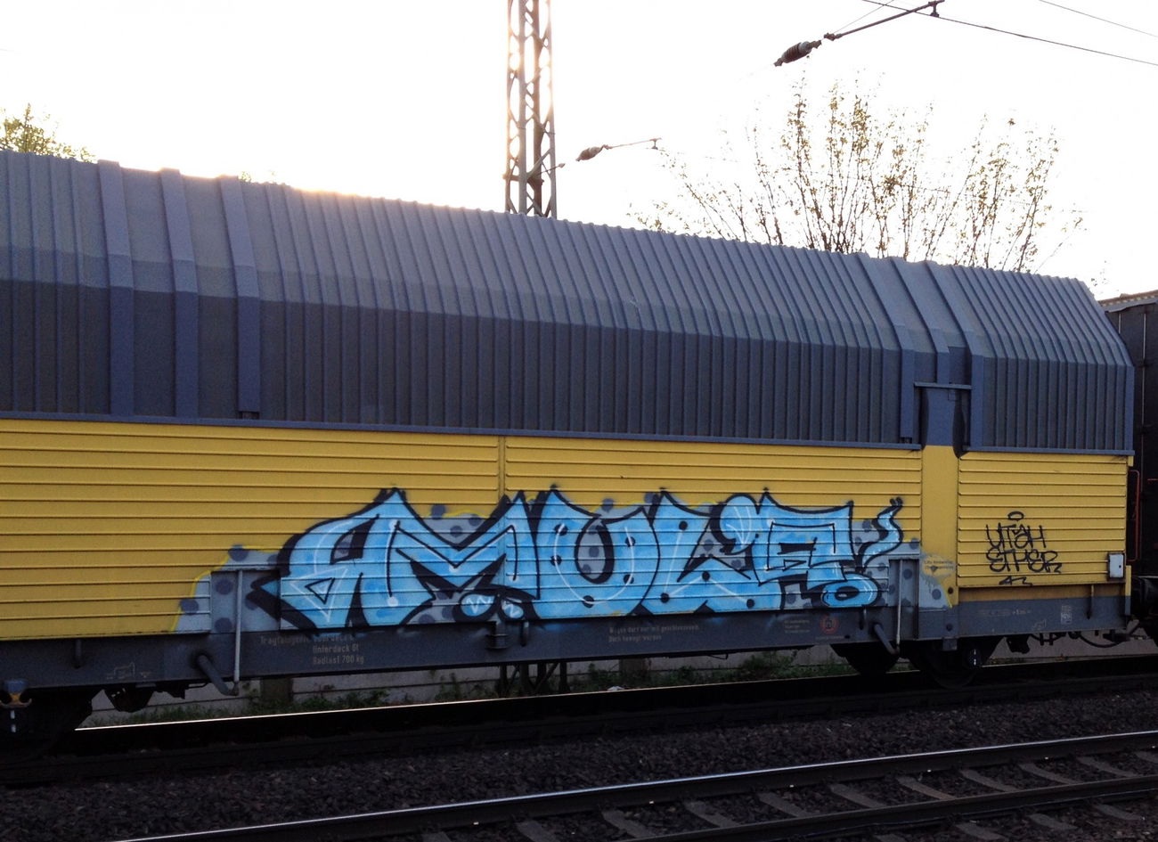 Graffiti Train - Photo by ZUGZWANG - mul
