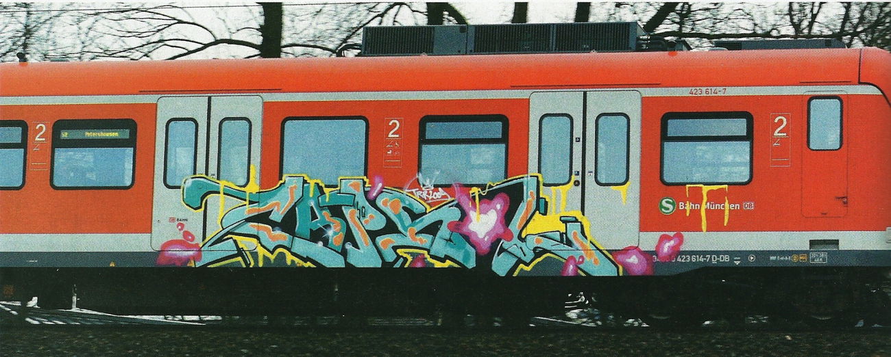 Graffiti Train - Photo by ZUGZWANG - capso