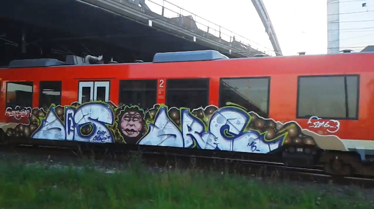 Graffiti Train - Photo by ZUGZWANG (2016)