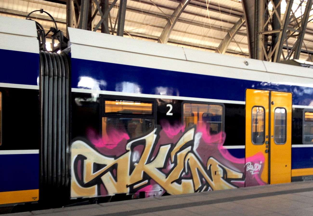 Graffiti Train - Photo by ZUGZWANG - skin (2018)
