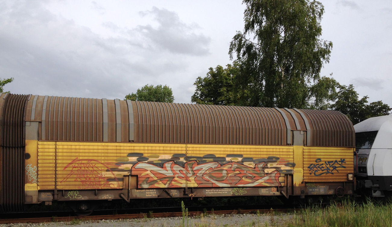 Graffiti Train - Photo by ZUGZWANG