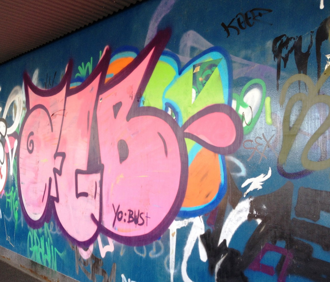 Graffiti Bombing - Photo by ZUGZWANG