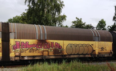 Graffiti Train - Photo by ZUGZWANG - moses
