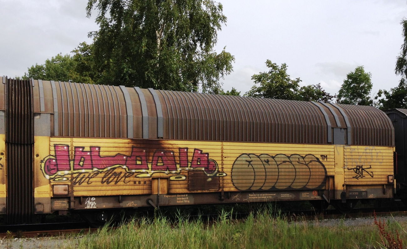 Graffiti Train - Photo by ZUGZWANG - moses