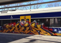 Graffiti Train - Photo by ZUGZWANG - skin (2018)